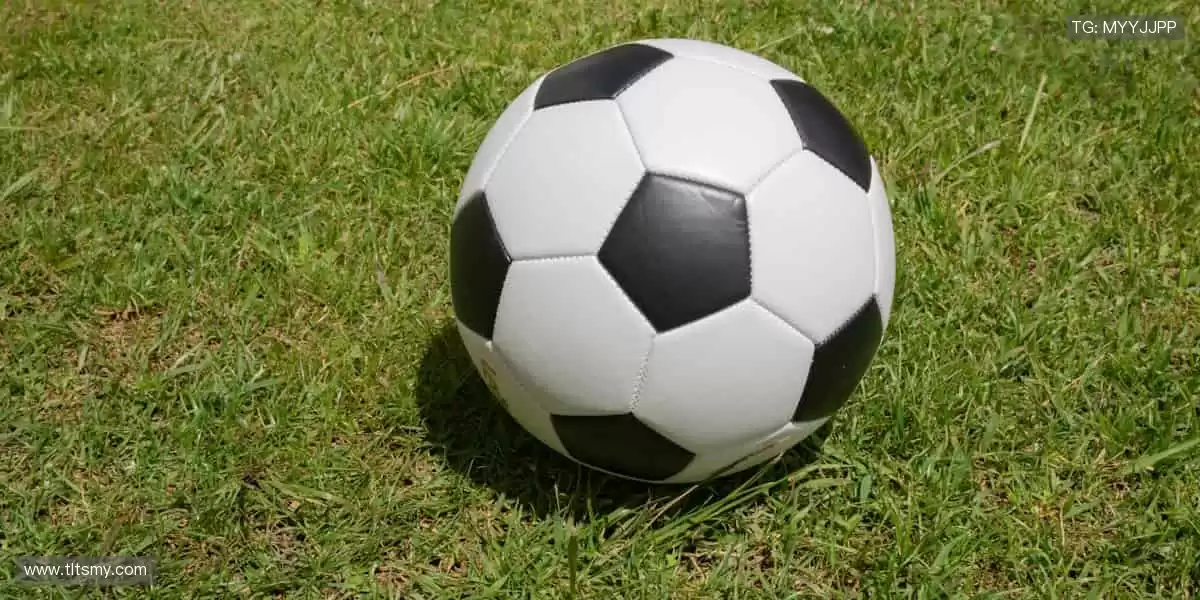 📺 高清直播，实时互动！不错过每一个心跳瞬间！