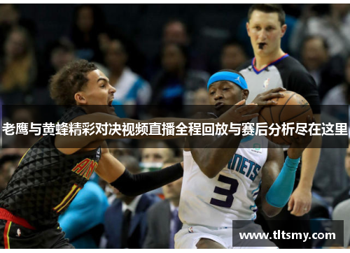老鹰与黄蜂精彩对决视频直播全程回放与赛后分析尽在这里